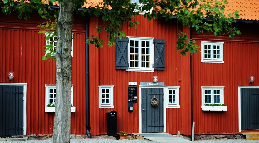 hgfjhbk