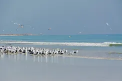 20180304_112044-830x460