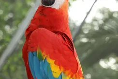 IMG-20200325-WA0039
