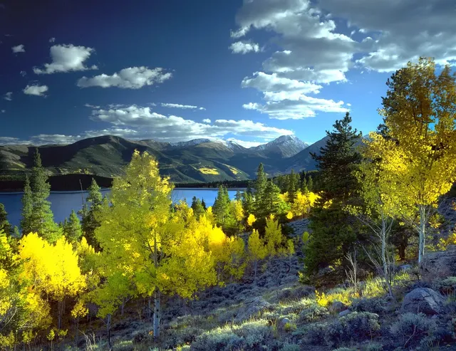 SPACIOUS 5 BR TWIN VILLA FOR RENT IN MQ