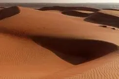 REAL ESTATE COMPANIES IN OMAN