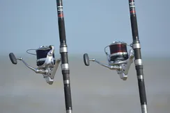 IMG-20200325-WA0040