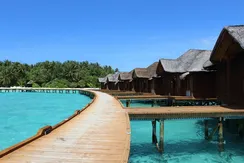 IMG_3949