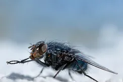 20180219_120656