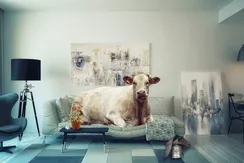 FDGYUHSILJKL