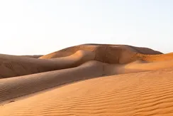 ncusdyijikljid