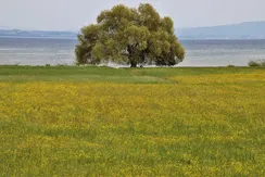IMG_3881