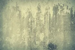 ٢٠٢٠٠٤٠٢_١٢١٨٣٤