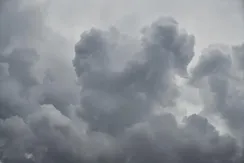 uygftgy