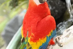 1kjbhkj