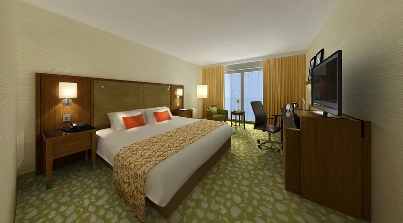 PHOTO-2018-09-03-09-08-48