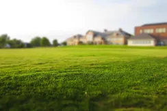 REAL ESTATE COMPANIES IN OMAN