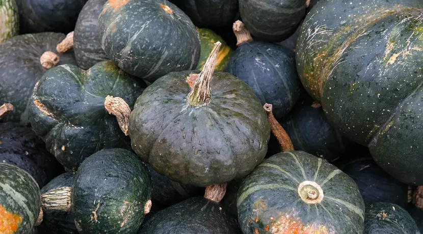 rety