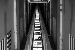 IMG_4201
