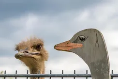 HKJLOIK