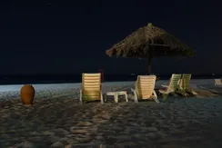٢٠٢٠٠٣٢٩_١٣١٨١١