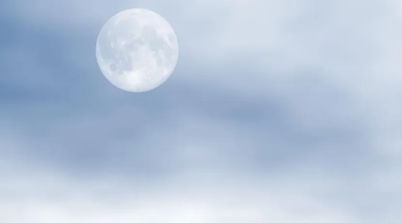 ٢٠٢٠٠٣٢٦_١١٢٦٤٤